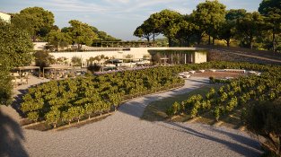 Entrada Celler Marfil