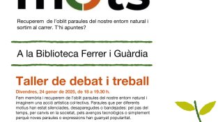 Recuperen paraules en desús amb el projecte Mots