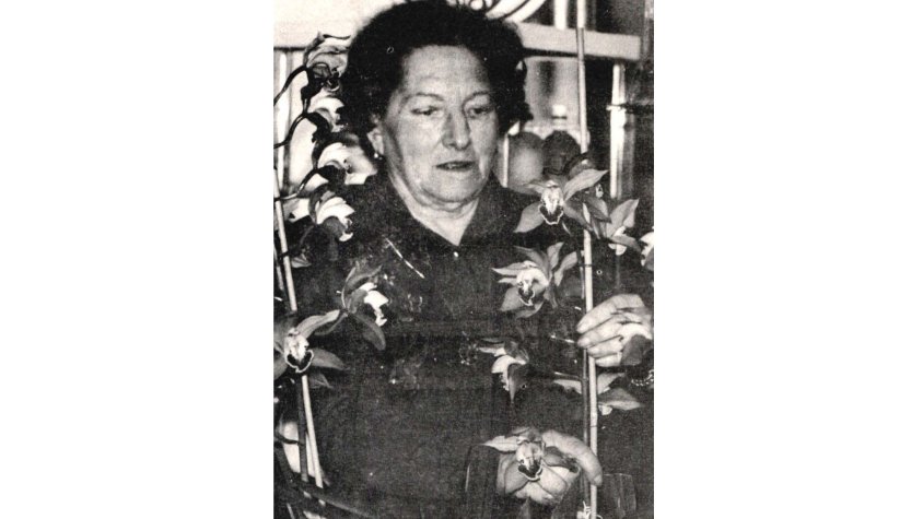 Intervius 16: Mercè Arenas, la tia Arenas