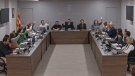 El Ple aprova una declaració institucional per demanar l'alto el foc a Gaza