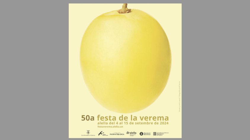 Enric Satué explica el cartell de la Verema