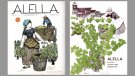 Les 50 veremes de la revista Alella: portades entre els anys 1969 i 1983 