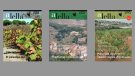Les 50 veremes de la revista Alella: portades dels anys 2006, 2007 i 2008