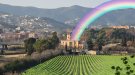 La Miralda no s'urbanitzarà: el govern aposta per una reserva natural amb vinyes i fauna singular