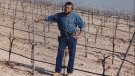 Miquel Armengol, pagès i defensor de la vinya