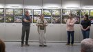 Exposició al Casal: Les cases d'Alella a vista de dron