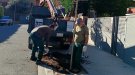 Planten una cinquantena d'arbres als carrers d'Alella