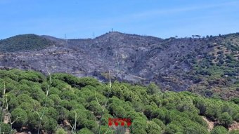 L'incendi de Tiana va apropar-se molt al nucli de Mas Coll