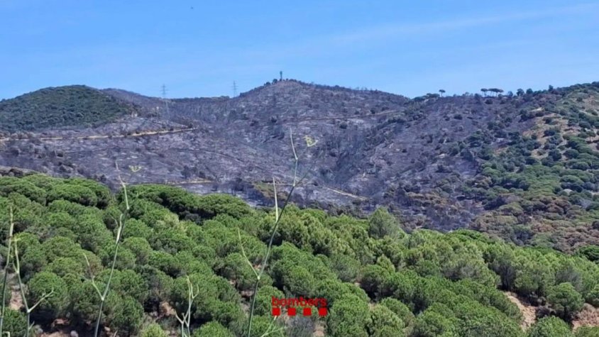 Imatge de la zona cremada, vista des de Tiana